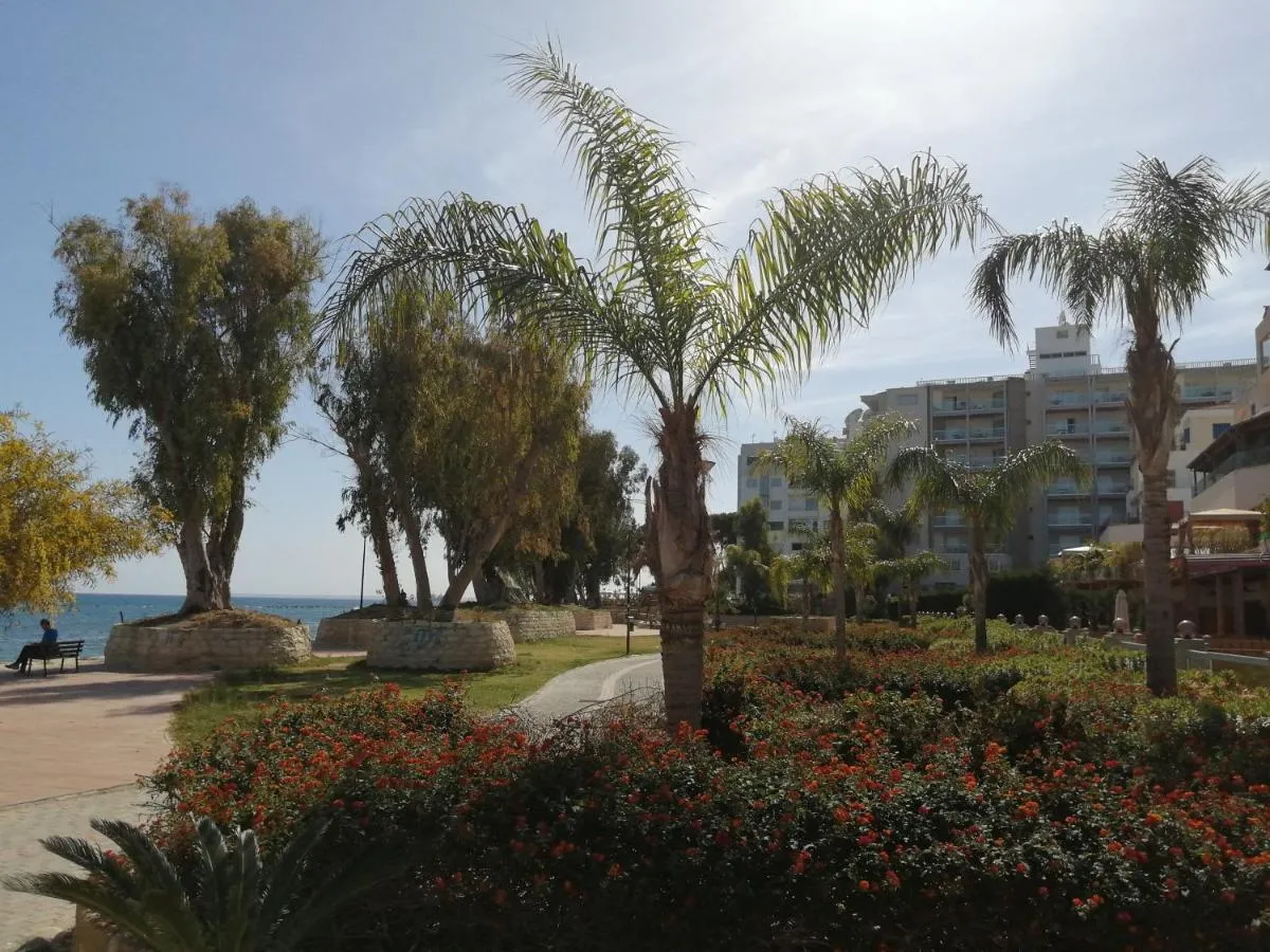 Image 2 of GALATEX BEACH STUDIO