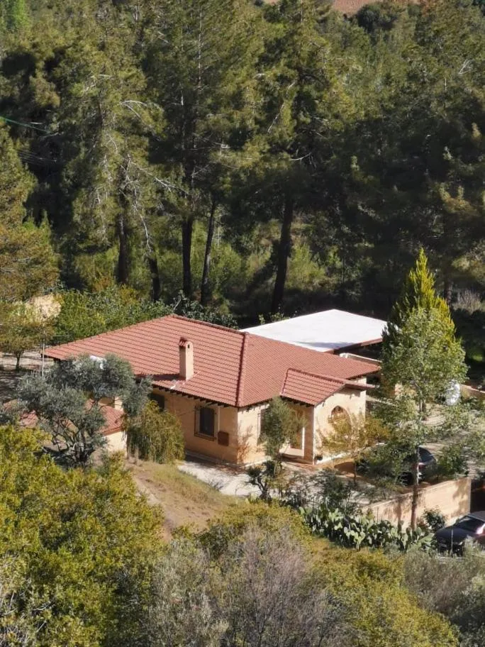 Image 4 of House of Roses