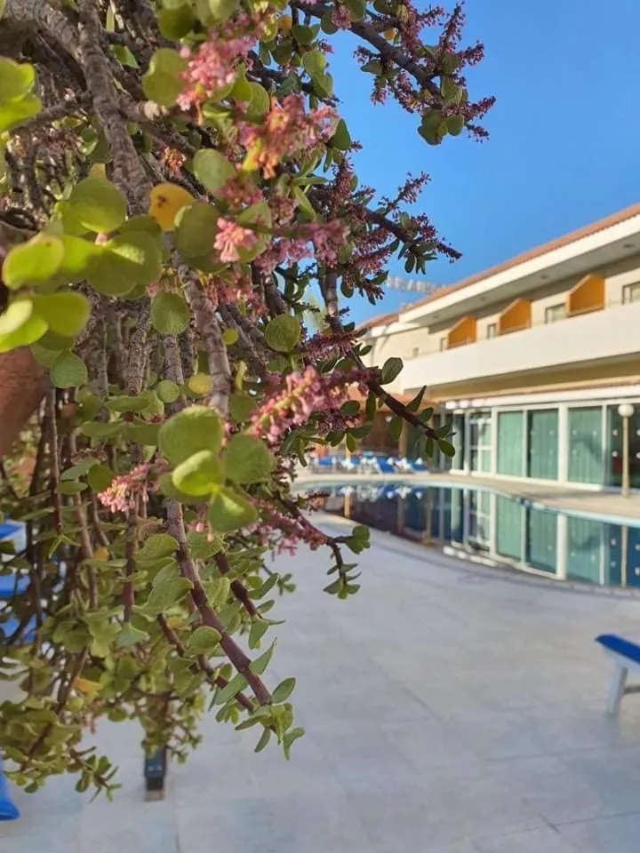Image 6 of M. Moniatis Hotel