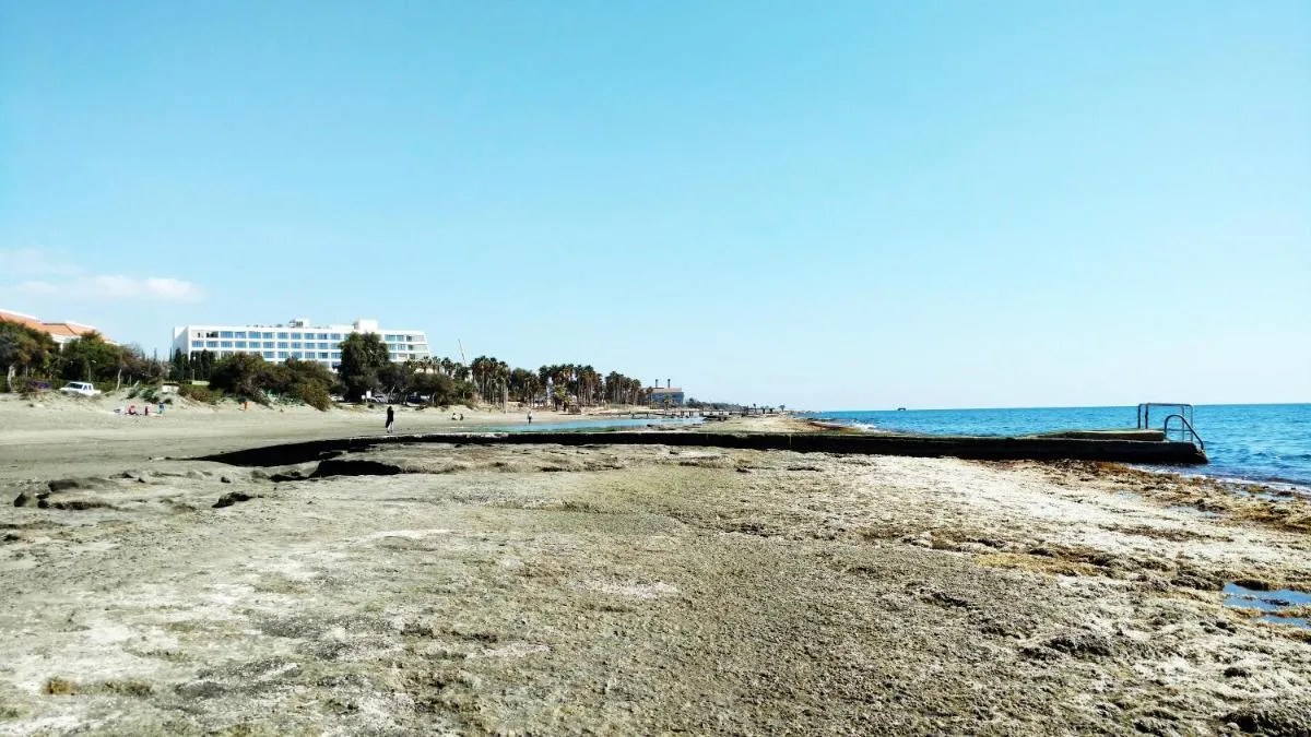 Image 5 of Olosuites
