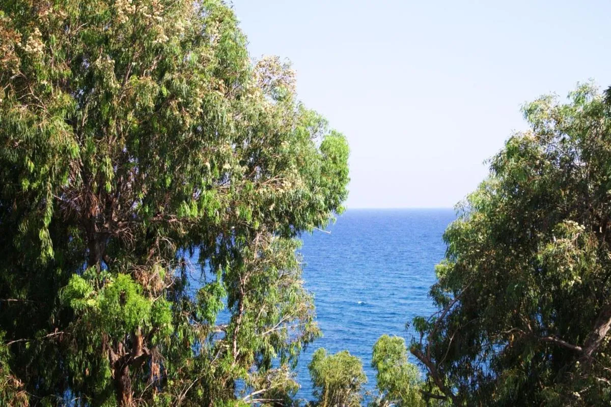 Image 6 of Freshness