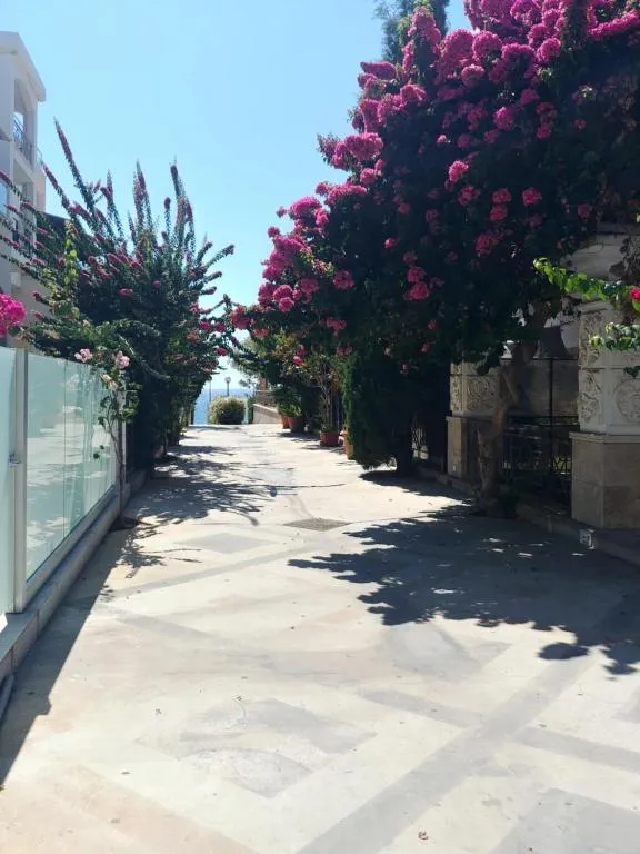 Image of Galatex Beach Apartment