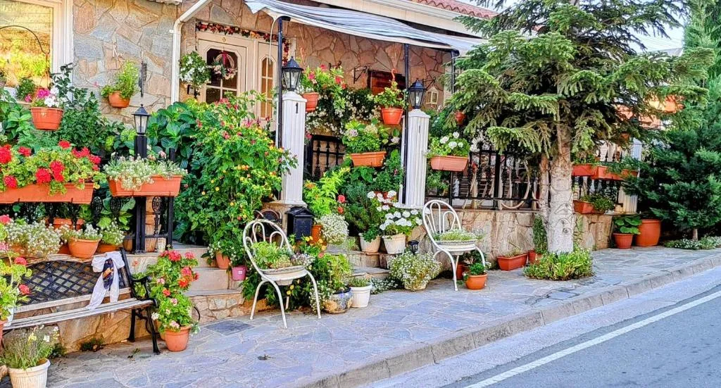 Image of Kyperounta Troodos mountain house