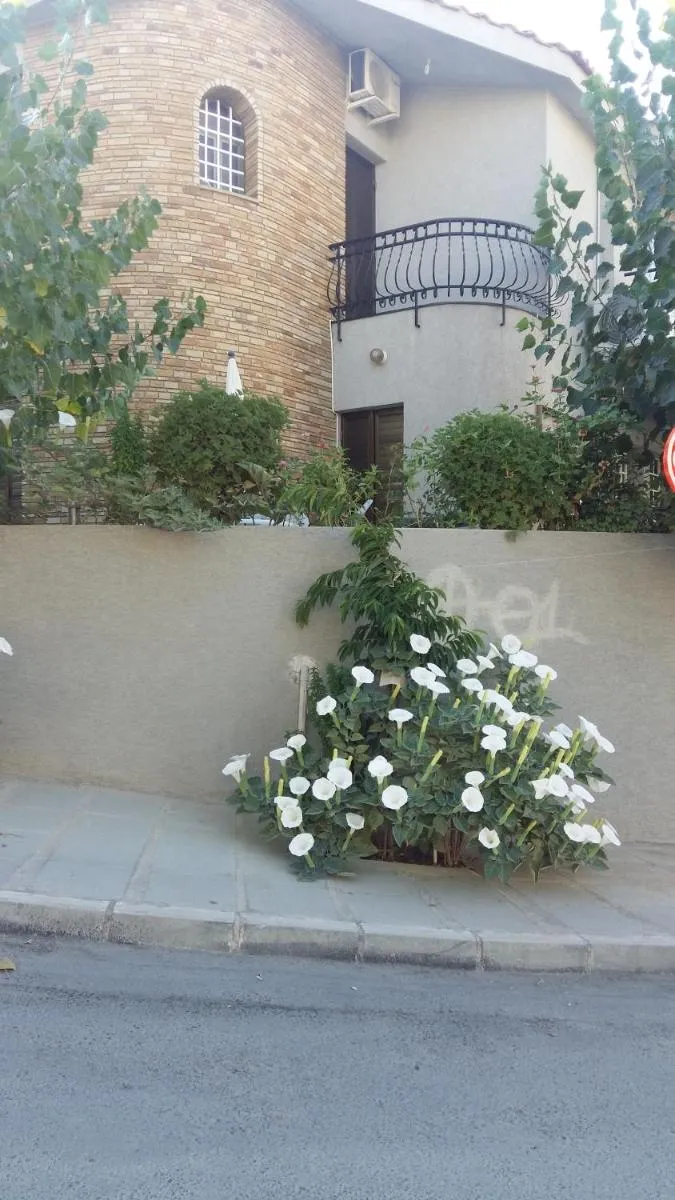 Image 2 of Nikola’s House