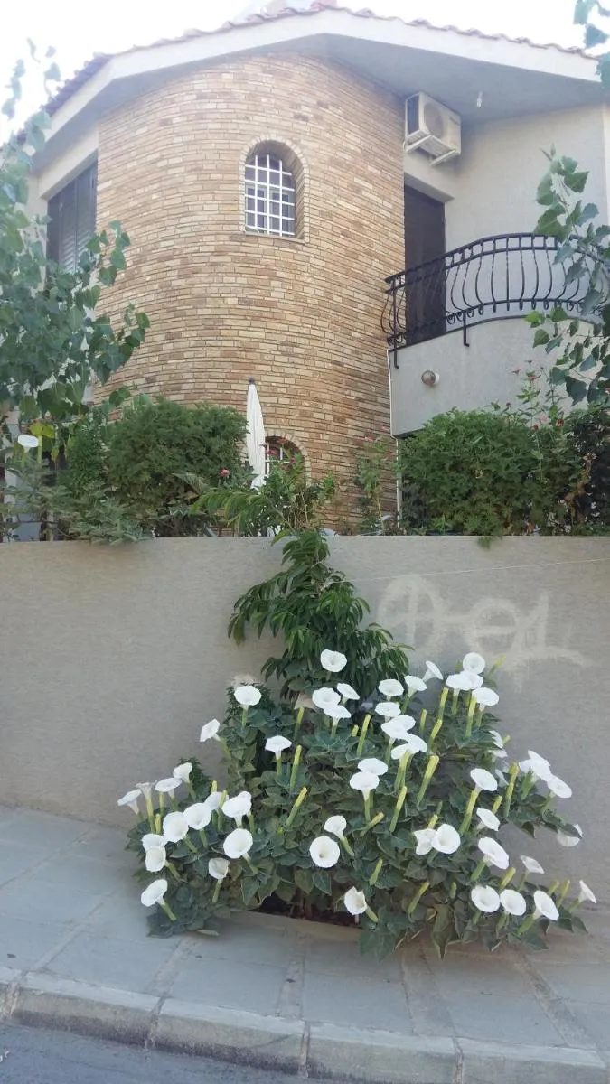 Image 1 of Nikola’s House