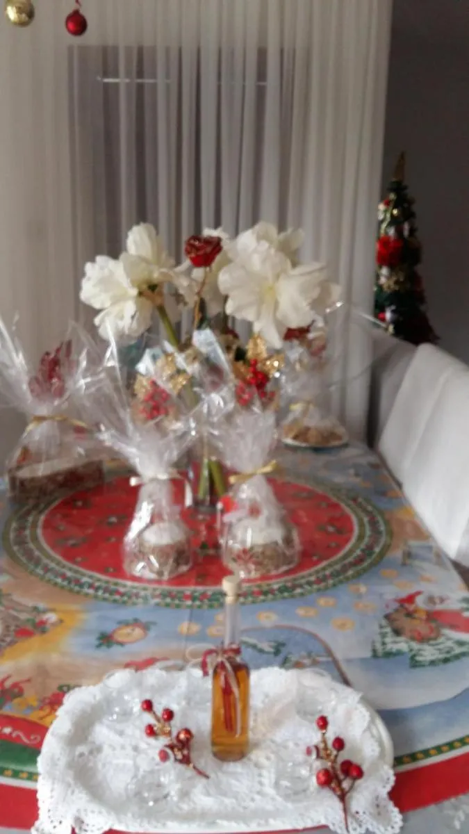 Image 5 of Nikola’s House