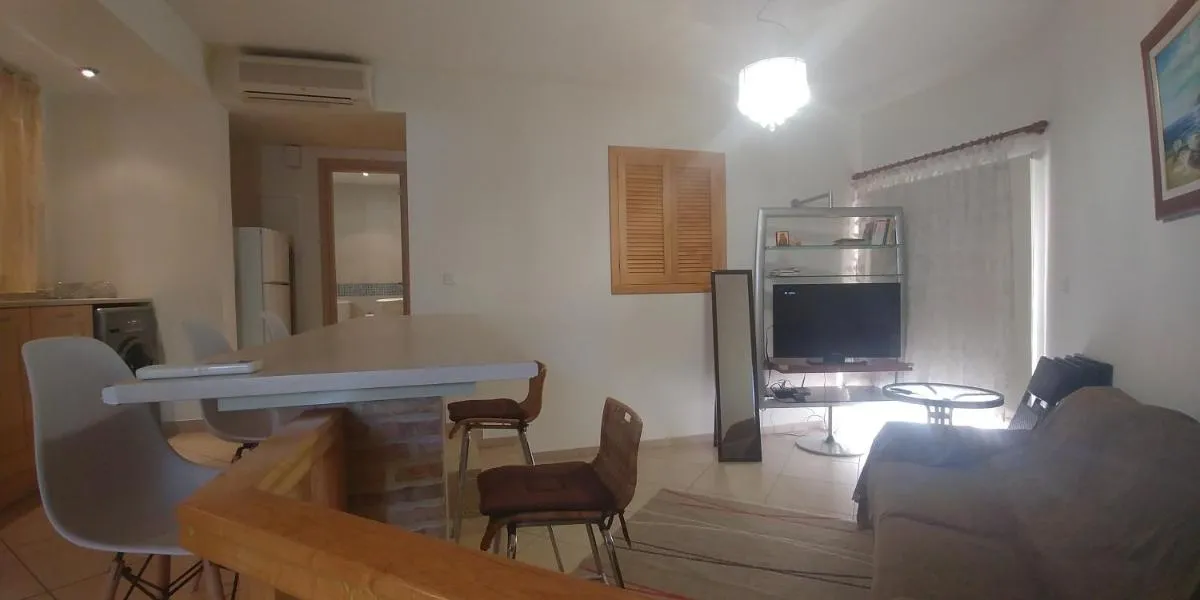 Image 4 of Palm beach 14